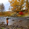 Stillwater Cast